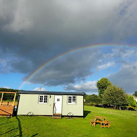אברגאבני Cwtch Glamping Shepherds Huts מראה חיצוני תמונה